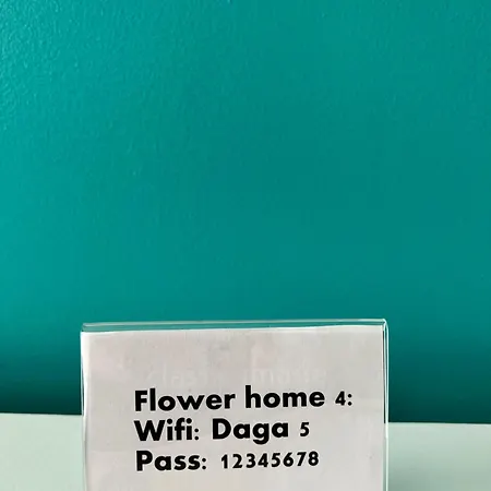 Flower 4 索菲亞
